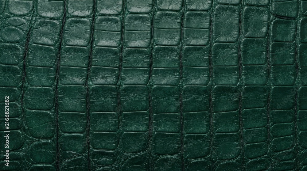 Fototapeta premium Deep green textured crocodile embossed leather surface