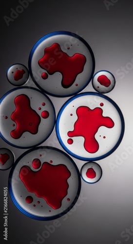 Overlapping circular glass lenses with sapphire blue rims distort dark red fluid droplets in an ultra-minimalist, futuristic composition, precision, geometry, technology