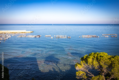 cala gonone,  coast of baunei, gulf of orosei, sardinia, sardegna, italy, mediterranean sea, vacation, 
