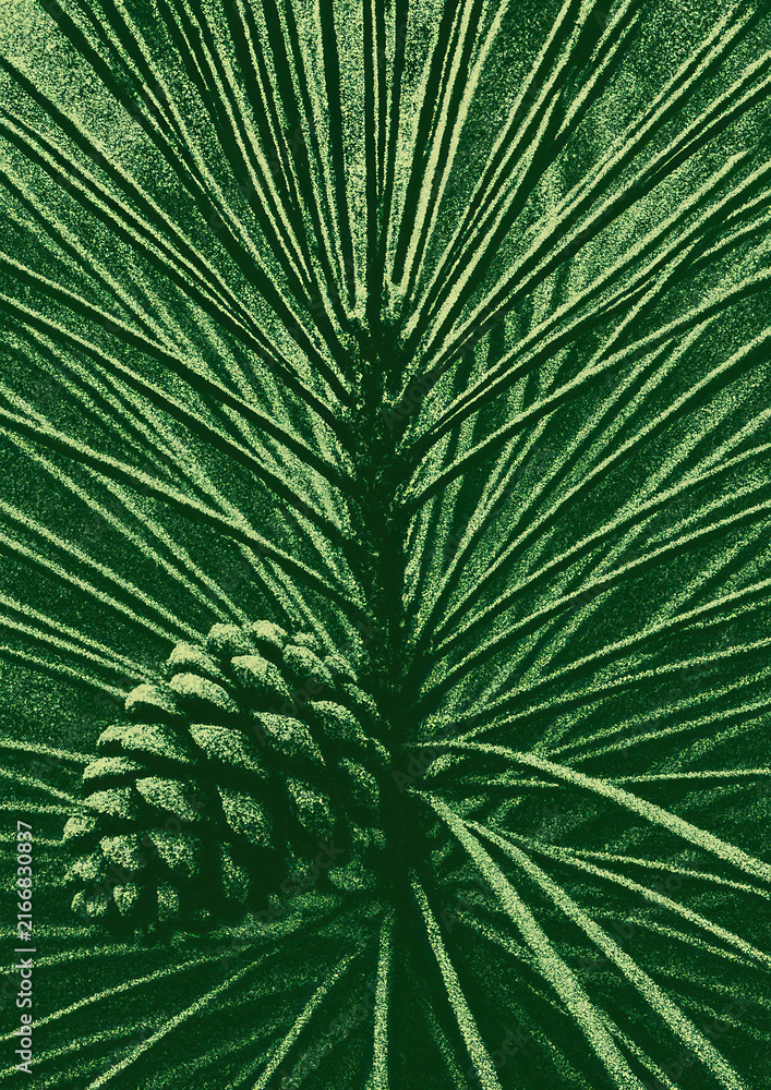 Fototapeta premium Textured pinecone amidst lush needles.