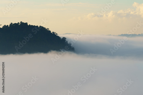 Rainforest Ridge Emerging Above Sea of Clouds