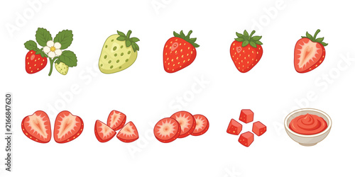 Obraz na plátne Strawberry fruit illustration set featuring whole strawberry, strawberry halves,