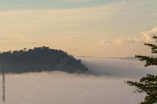 Forested Rainforest Ridge Above Morning Cloud Layer