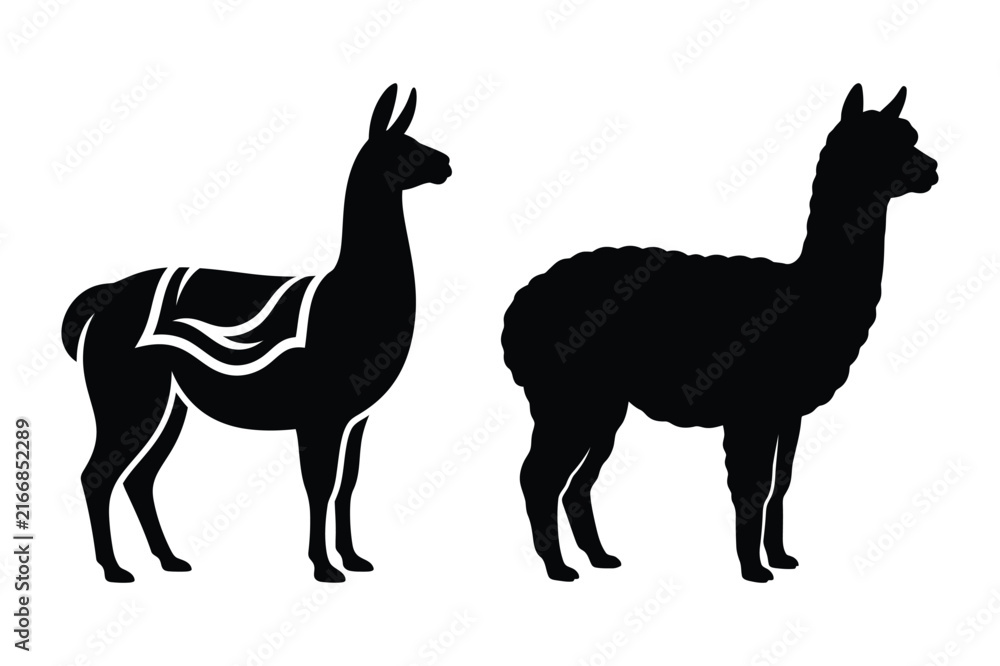 Naklejka premium Llama and alpaca animal silhouettes with saddle and pack silhouette wildlife