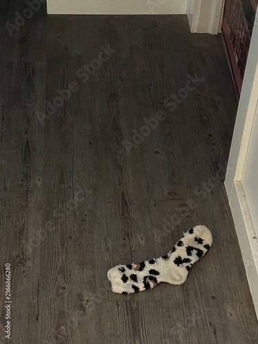 Single Sock Lying on the Ground Showing Everyday Household Item, Fabric Texture and Casual Outdoor or Indoor Detail