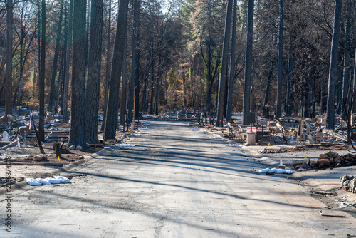 Принти на полотні Residential Street Following Camp Fire Wildfire Destruction
