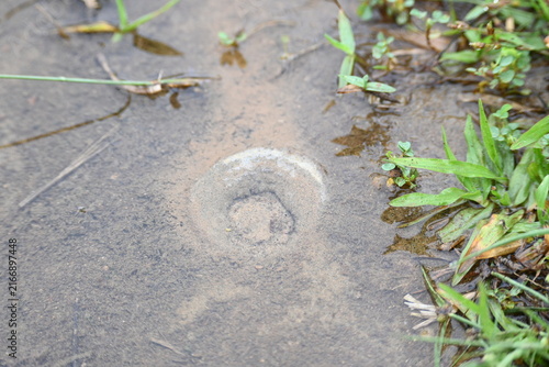 Foto Water internal flow causes continuous bubbles to rise in the sand
