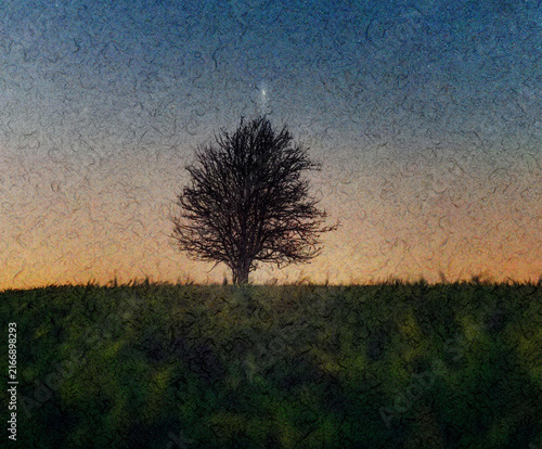 Obraz na płótnie Lone tree silhouette at sunset in field