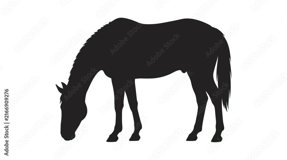 Obraz premium Isolated black silhouette of a grazing horse with head down for ranch signage, equestrian branding