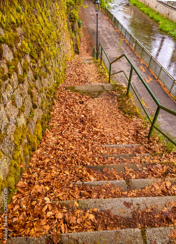 Photography Steps covered in leaves near a river in Karlovy Vary, Czechia