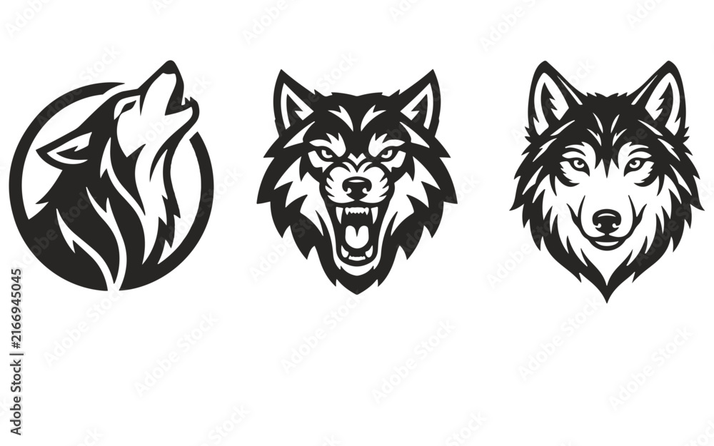 Fototapeta premium Three gray wolf head illustrations against a black background