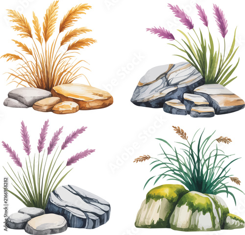 Tall Grass Watercolor Botanical Vector Illustration, Wild Grass Plant Clipart Isolated on White