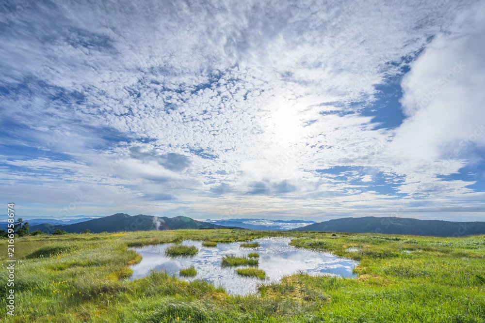 Fototapeta premium 夏の青空を映す中門岳山頂の池塘と高層湿原の絶景