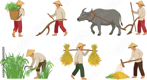 Принти на полотні Traditional Asian rice farmers cultivating fields vector illustration set with p