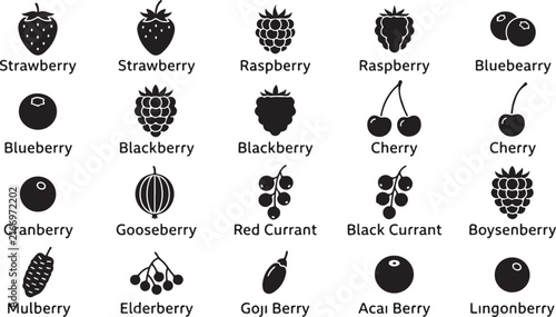 Variety of fresh berry icons and labels for healthy food and drink illustrations.