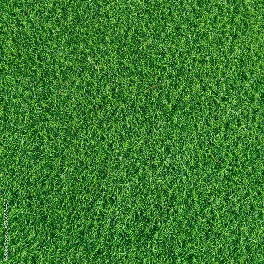 Obraz premium green grass background