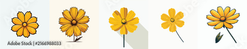Coreopsis Flower Vector Illustration