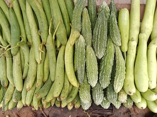 Fresh green vegetables arranged in a market display, featuring ridged gourds, bitter melons, and bottle gourds with varied textures, shapes, and natural colors for food themes.