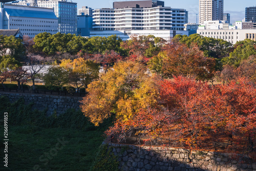 石垣と色づく木々とビル群が立ち並ぶ都市の秋景色