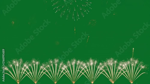 Vibrant Fireworks Display Illuminating the Night Sky with Explosions of Color.