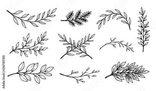 Bild auf Leinwand Black hand drawn botanical branches and leafy twigs minimalist line art vector c