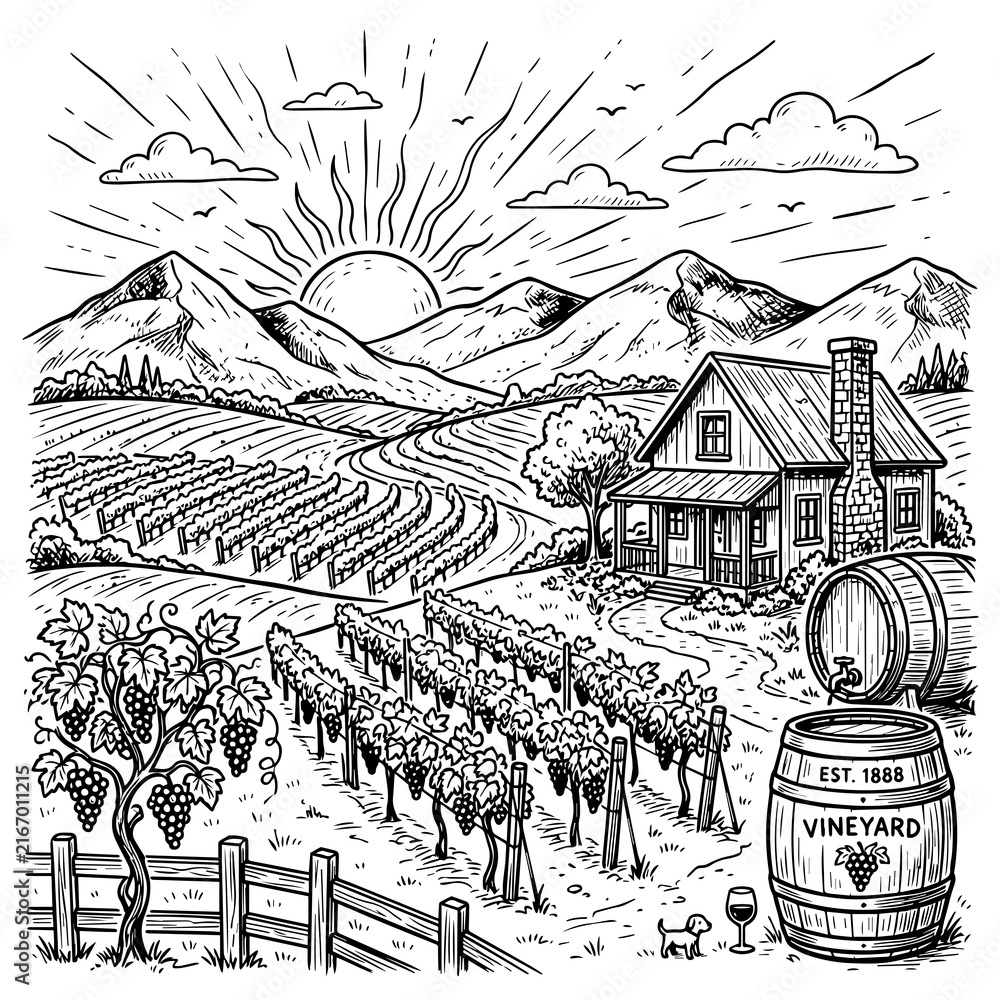 Fototapeta premium Sun rising over vineyard valley with rural farmhouse and wine barrels