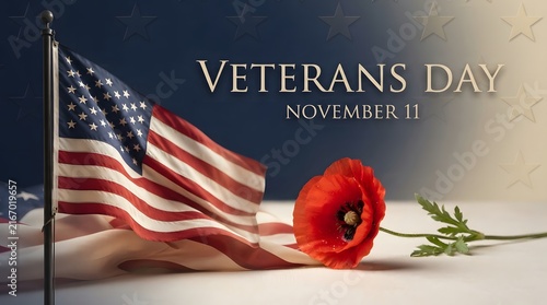 Veterans Day Red Poppy and American Flag Memorial Tribute Poster.