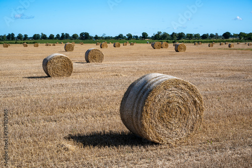 Round bales on field in Oland Sweden