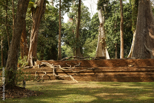 Photography Massive tree roots sprawl over the ancient stepped brick foundations of Candi Koto Mahligai