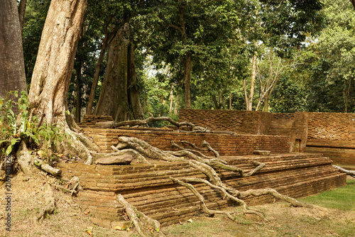 Massive tree roots sprawl over the ancient stepped brick foundations of Candi Koto Mahligai. Located in the Muaro Jambi Temple Complex, Sumatra, Indonesia