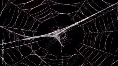 Spider cobweb effect in the black background.