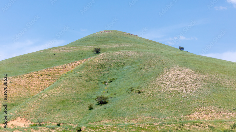 Fototapeta premium Green hill under clear blue sky