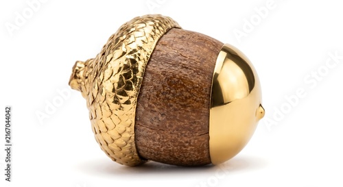 golden acorn with oak nut shell isolated on white background wealth concept.