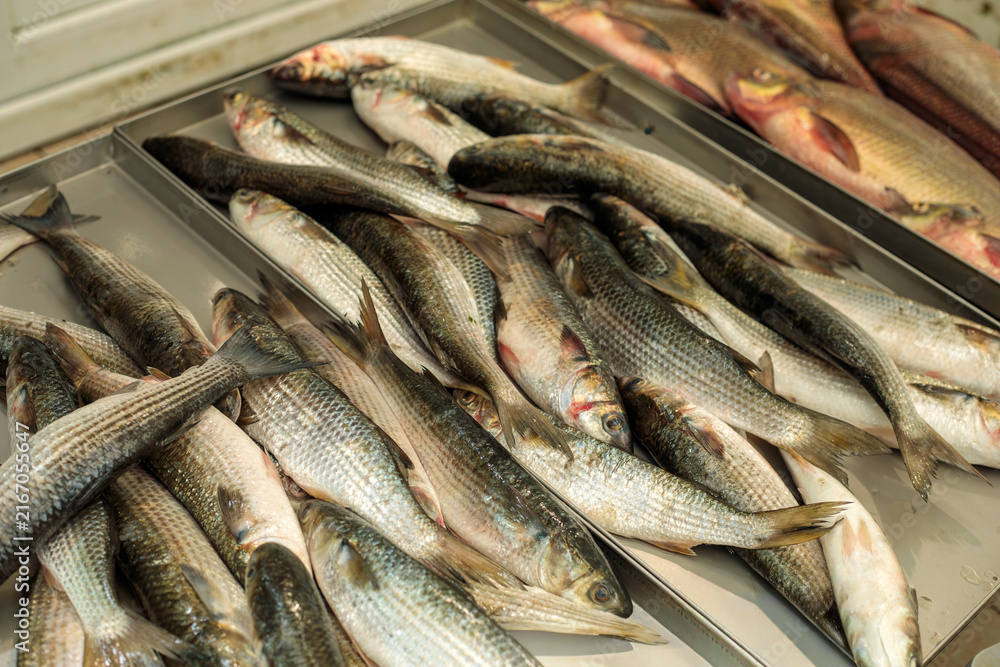 Fototapeta premium Fresh whole fish are laid out on a metal market tray, their silvery scales catching the light beside another tray of fillets