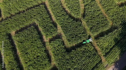 Aerial View of Tractor Maintaining a Corn Maze at an Italian Agritourism Farm