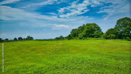 Foto 8月下旬の黒部川丘陵部の牧草のある風景