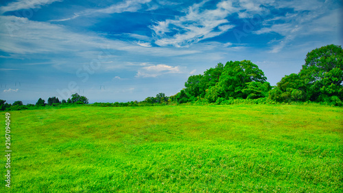 Konstfotografi 8月下旬の黒部川丘陵部の牧草のある風景