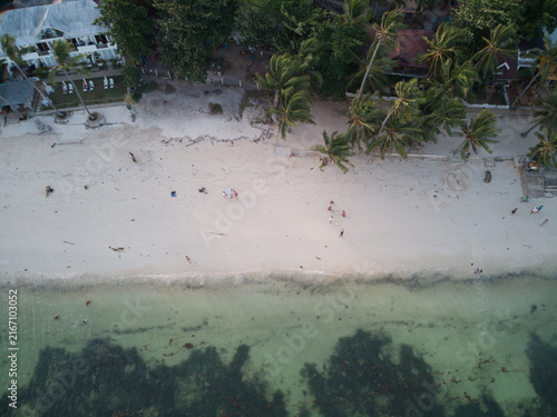 A narrow white shoreline separates dense green palms from clear pale-green sea.