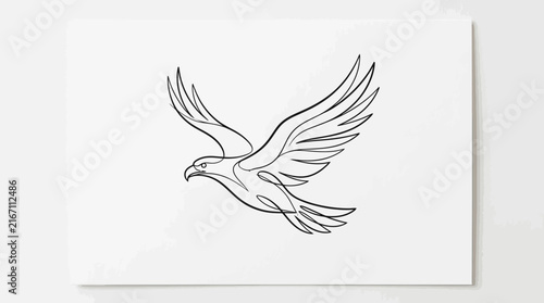 Flying eagle line art illustration on white.