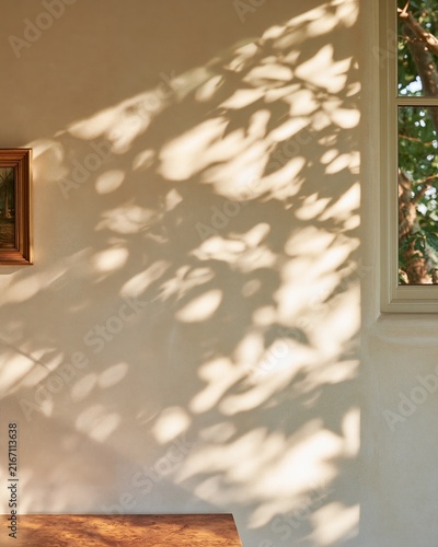 Warm cream plaster interior wall with soft shadows cast by foliage, framed artwork on the wall, and a window revealing greenery outside