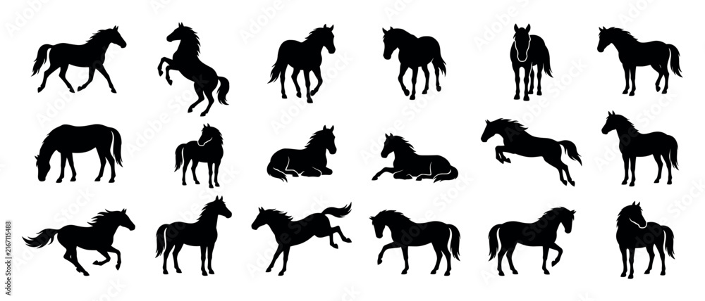 Fototapeta premium Set of black horse silhouettes in various dynamic poses like running, standing, jumping, and rearing, presented as a collection of graphic vector icons for design