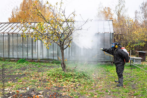 man in mask and overalls sprays garden with against pests in autumn.