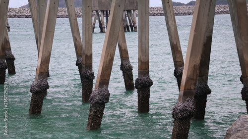 Фотография The image depicts the underside of a pier extending into a body of water, with n