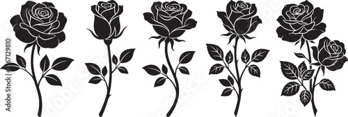 Black Silhouette of Wildflowers and Grass Border