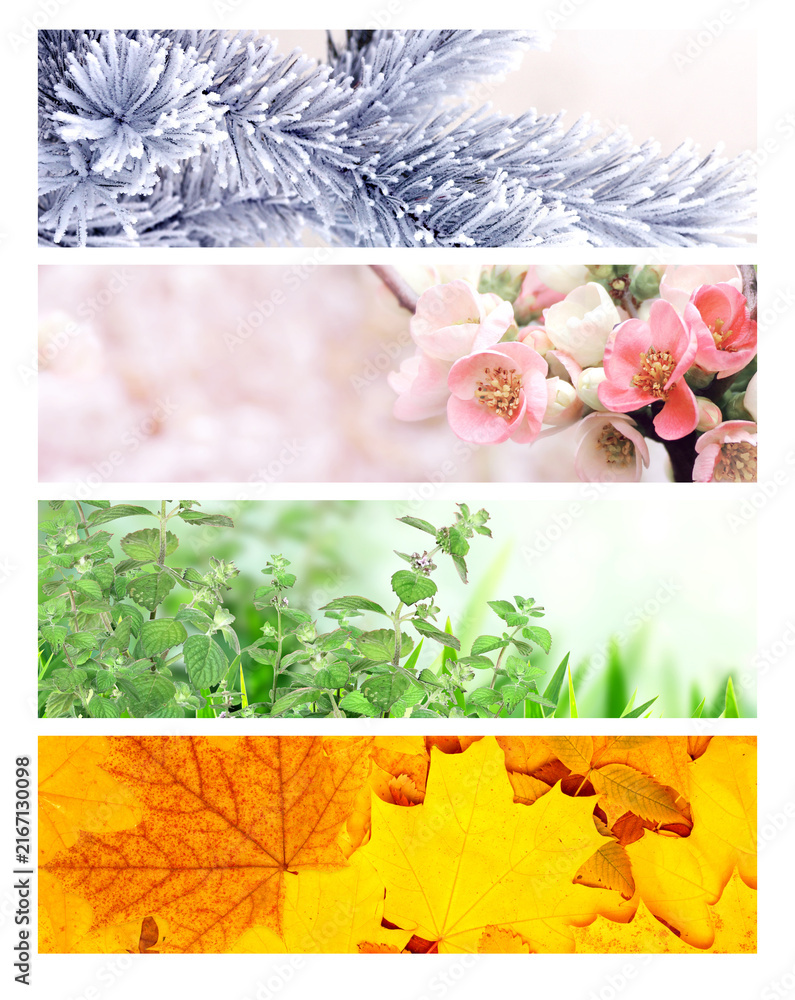 Naklejka premium Four season of year. Set of horizontal nature banners. Each one features scene of nature, from the gentle snowfall of winter to the vibrant leaves of summer. Perfect for showcasing changing seasons