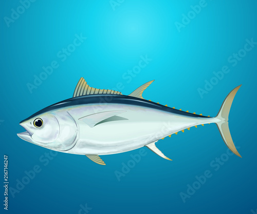 Photography Isolated tuna on an ocean background