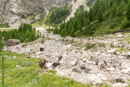 Rocca Pietore, Italy. Dry alpine riverbed beneath the Dolomites with larch forest and rugged mountain terrain