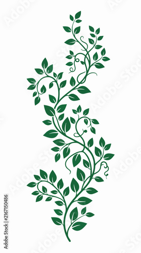 Elegant Green Leafy Vine Vector Illustration for Decorative Floral Design and Organic Branding