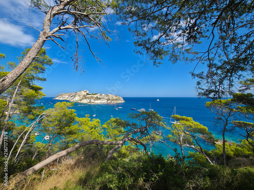 Panoramic View of San Nicola Island Framed by Aleppo Pine Trees from San Domino, Tremiti Islands, Apulia, Italy – Turquoise Sea with Sailing Boats Under Blue Sky