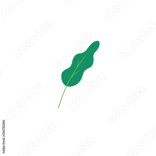Plant 8